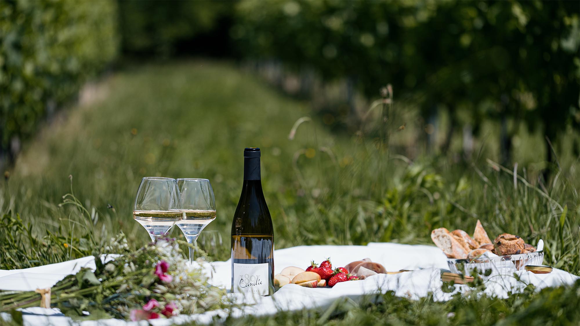 A picnic  photo with a bottle of Candie's wine