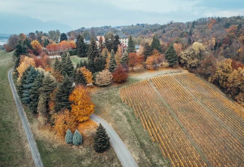 hotel-histoire-chateau-candie-vignoble-plan-aerien-automne